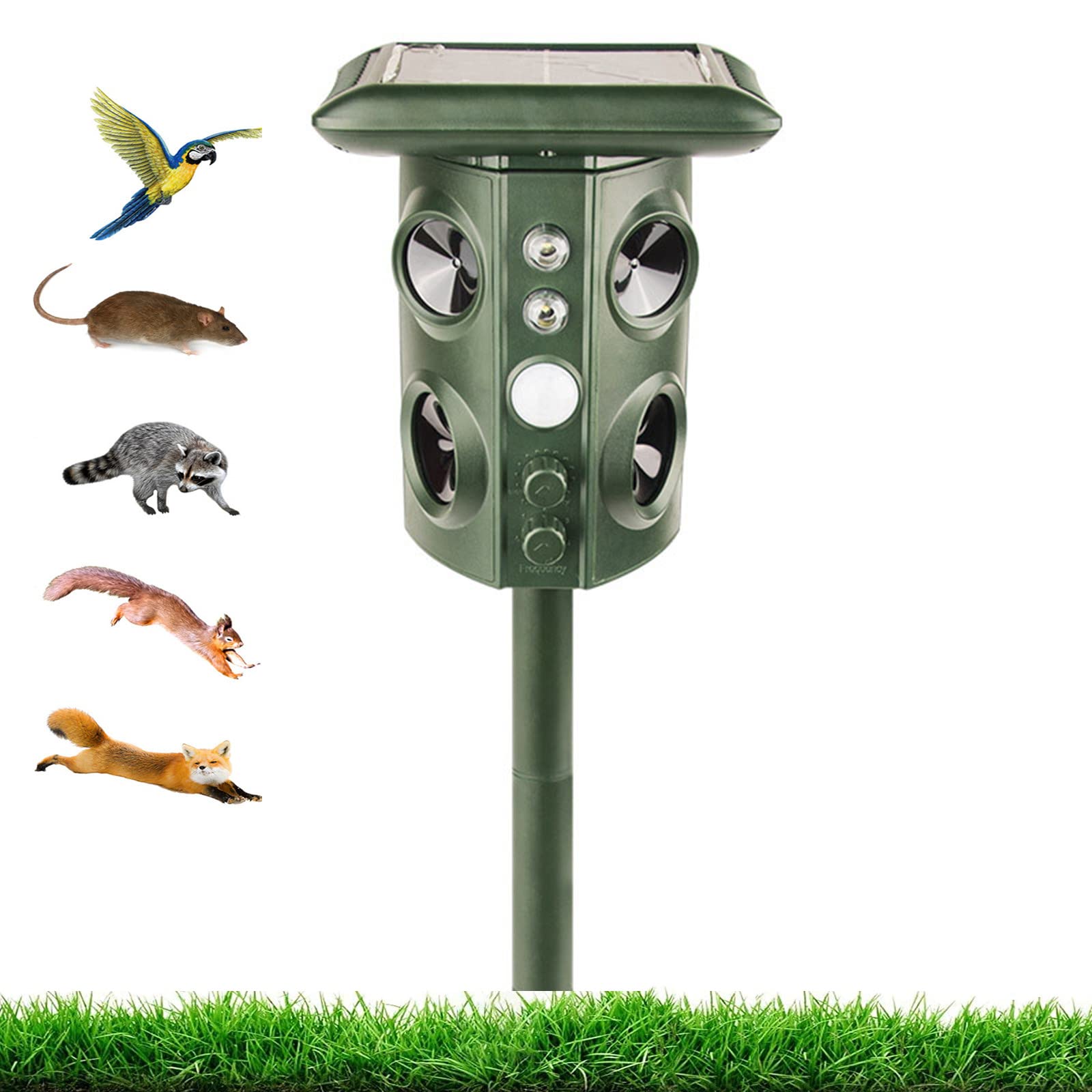 Repeller per gatti Repeller per topi solari Repeller per uccelli ad ultrasuoni Repeller per animali all'aperto Repeller per cani Repeller per serpenti