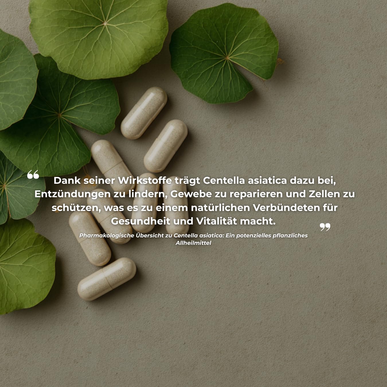 Centella Asiatica 400mg – Gelenke, Haut & Stress – Stärkste Kollagensynthese & GABA-Aktivierung – 100% Vegan – 60 Tage – Frankreich
