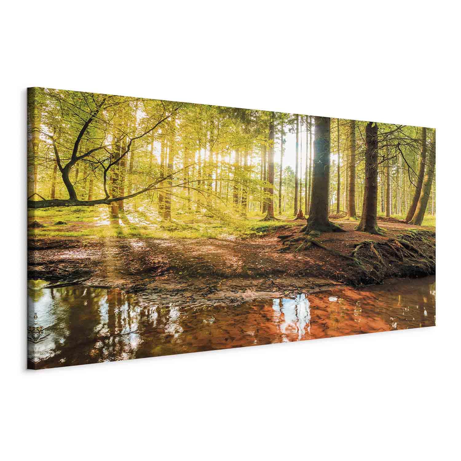B&D XXL - Quadro Moderno Soggiorno Grandi, Bosco Natura Paesaggio 140x70cm