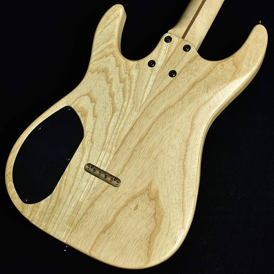 イエロー エレキギター サイン入りimagine dragon イマジンドラゴン Imagine Dragons Signed Guitar | eBay