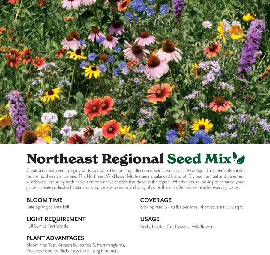Grow Your Own Vibrant Annual and Perennial Wildflower Garden Seeds Mixture, Varieties for Pollinators and Spring Gardens - Northeast Regional Mix, 1 lb