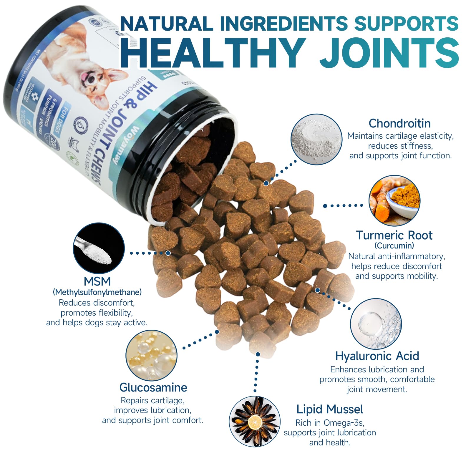 Cat Allergy Relief & Dog Hip and Joint Chews | 500 Crunchy & Creamy Anti-Itch Cat Chew + 200 Soft Dog Joint Chews with Glucosamine, Chondroitin, MSM | Seasonal Itch Relief & Mobility Support - image 8