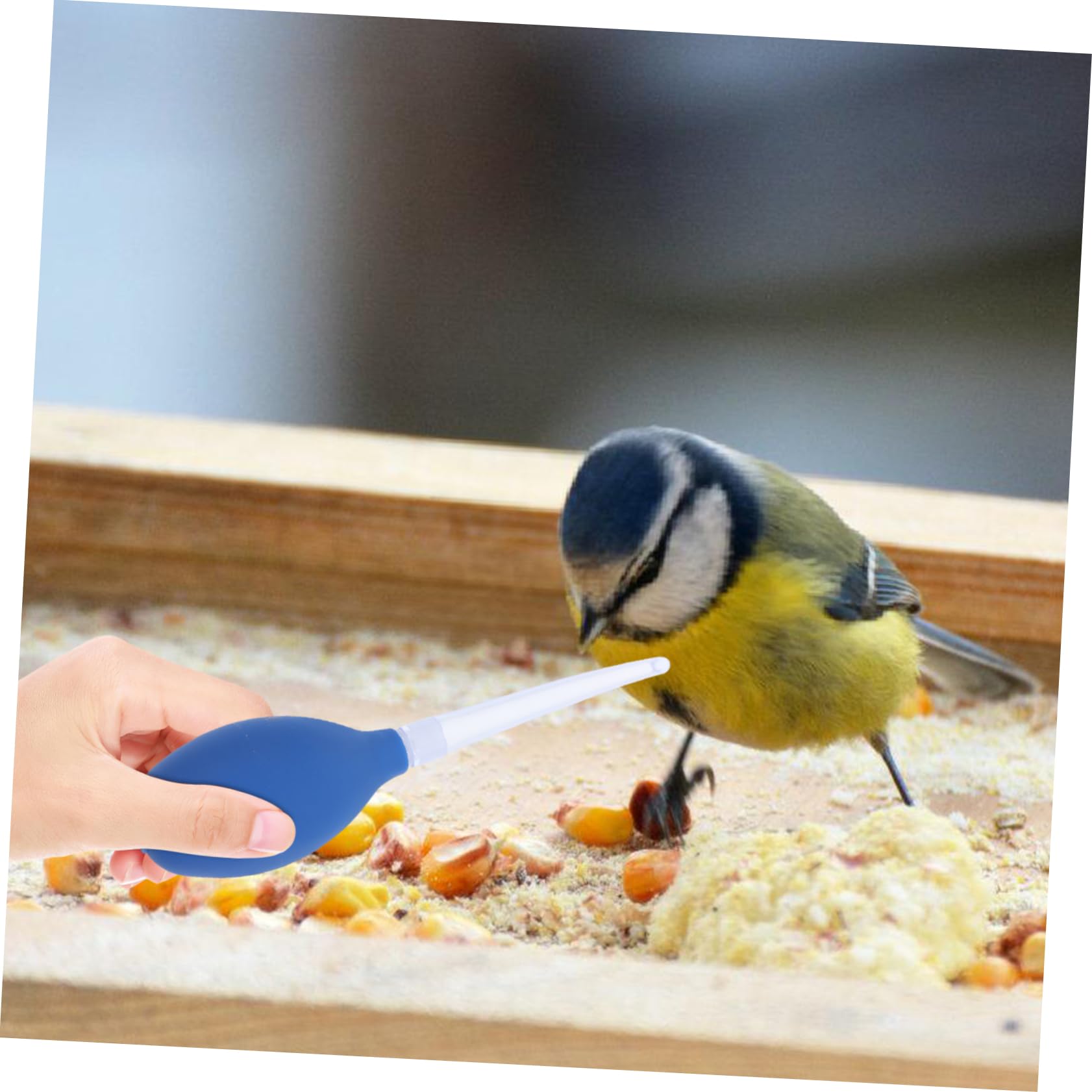 VICASKY Pigeon Rehydration Device Bird Liquid Weaning Feeder Reusable Bird Pacifier for Pigeons for Assisting Young Birds Nutrition and Survival Compact Design