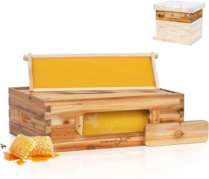 10 Frame Langstroth Medium Super Bee Hive Box with Frames and Foundation, Beeswax Coated Cedar Honey Super with Observation Window, Standard Beekeeping Hive Box for Honey Production & Expansion