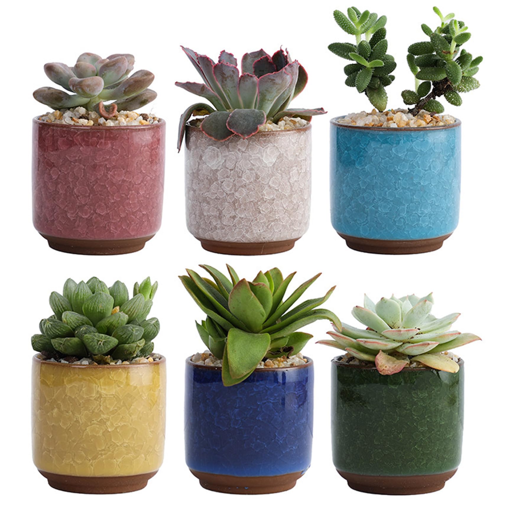 Pots de fleurs en céramique pour la décoration de votre maison