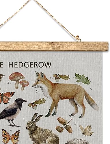 Miniatura 105 de XIAOAIKA Póster de botánica vintage con marco de madera, tabla de plantas venenosas antiguas, arte educativo botánico con especies peligrosas, 1