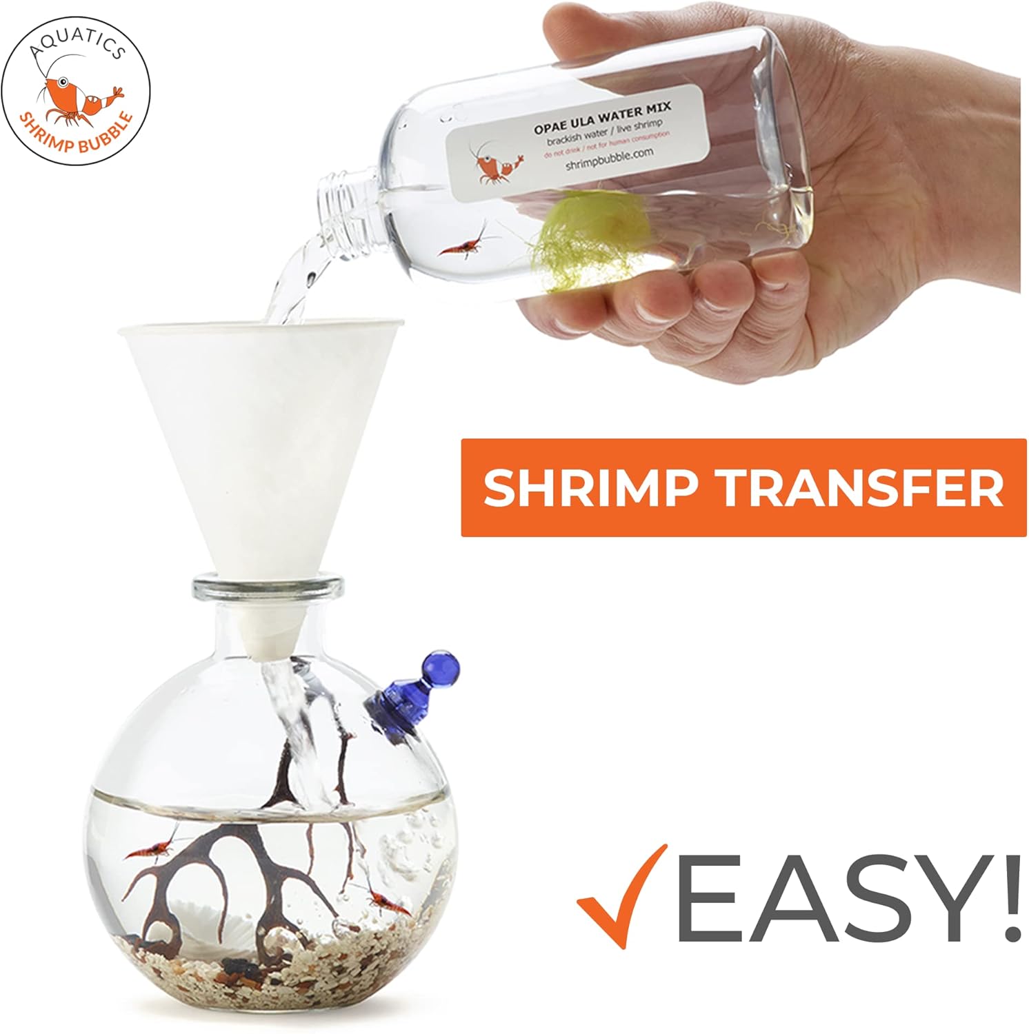 Shrimp Bubble Self-Sustaining Ecosystem
