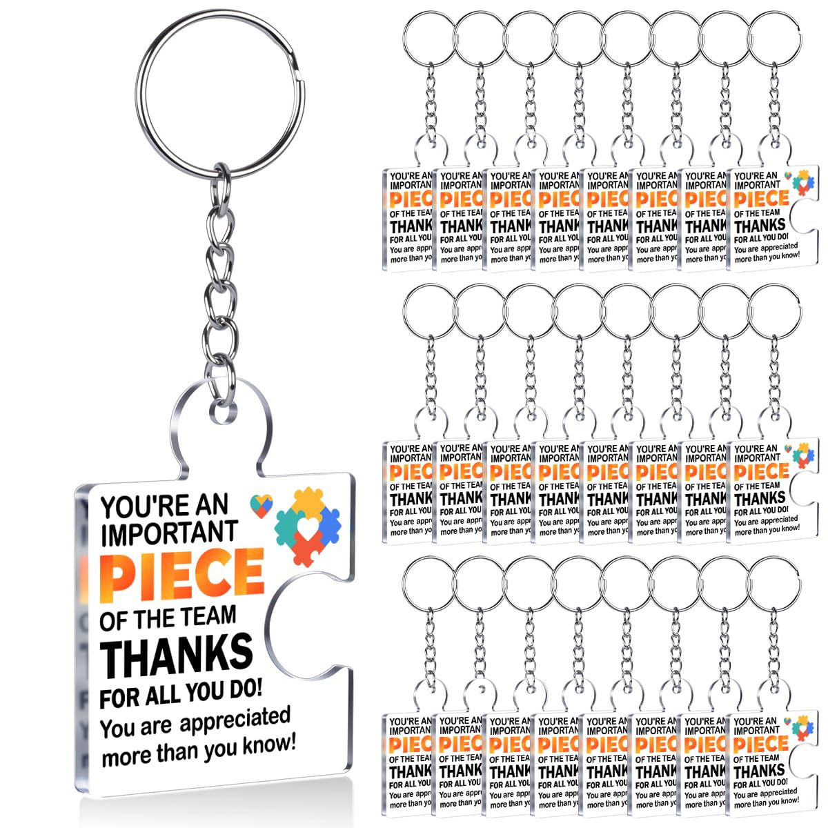 Team Appreciation Gifts Bulk Thank You Keychains for Coworkers
