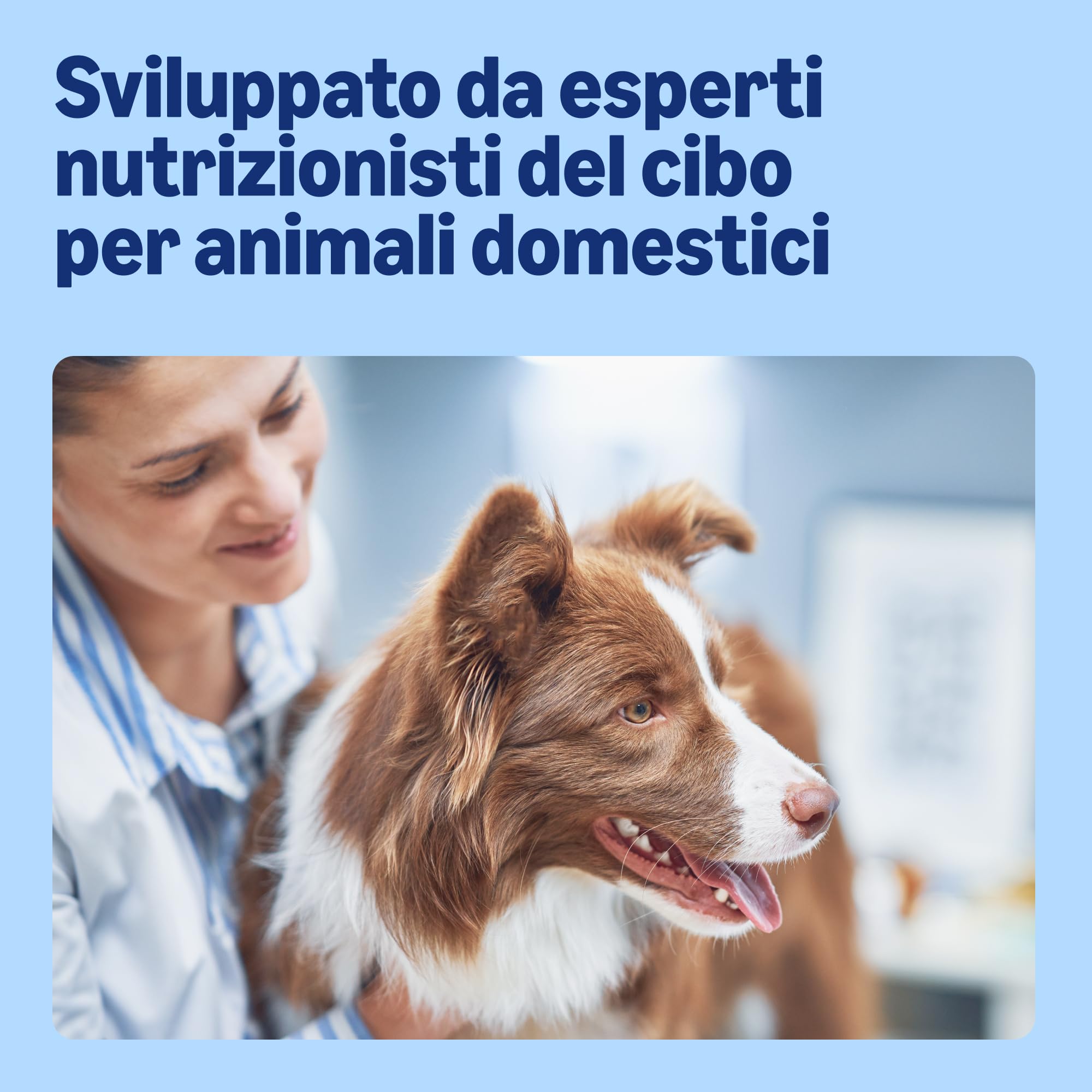 by Amazon, Cibo umido per cani, bocconcini di manzo in salsa, 6 x 1,24 kg