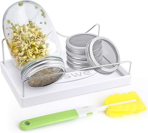 Kit de tarro de germinación de semillas (tarros no incluidos) - 4 tapas de brotes de pantalla de acero inoxidable, 1 bandeja de melamina, soporte y