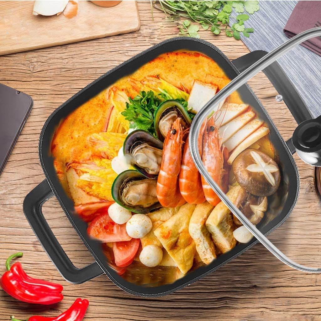 Electric Hot Pot,Rapid Noodles Cooker,Mini, Ramen, Egg, Pasta, Dumplings, Soup, Porridge, Oatmeal