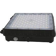 E2 Lighting LED Canopy Light, Emergency Battery Backup, 55W Adjustable