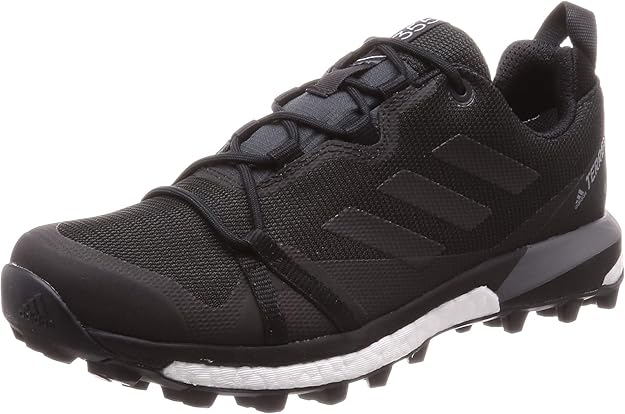 adidas terrex skychaser lt gtx