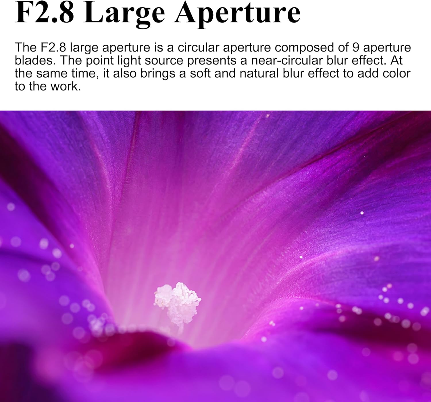 7artisans 60mm F2.8 Macro 2X Lens for Sony E Mount,2:1 Full Frame Prime Manual Focus Large Aperture Lens for Mirrorless Cameras for FX,A1,A9,A7M,A7R,A7S,A7C,ZVE,A6000,A5000,A3000,NEX