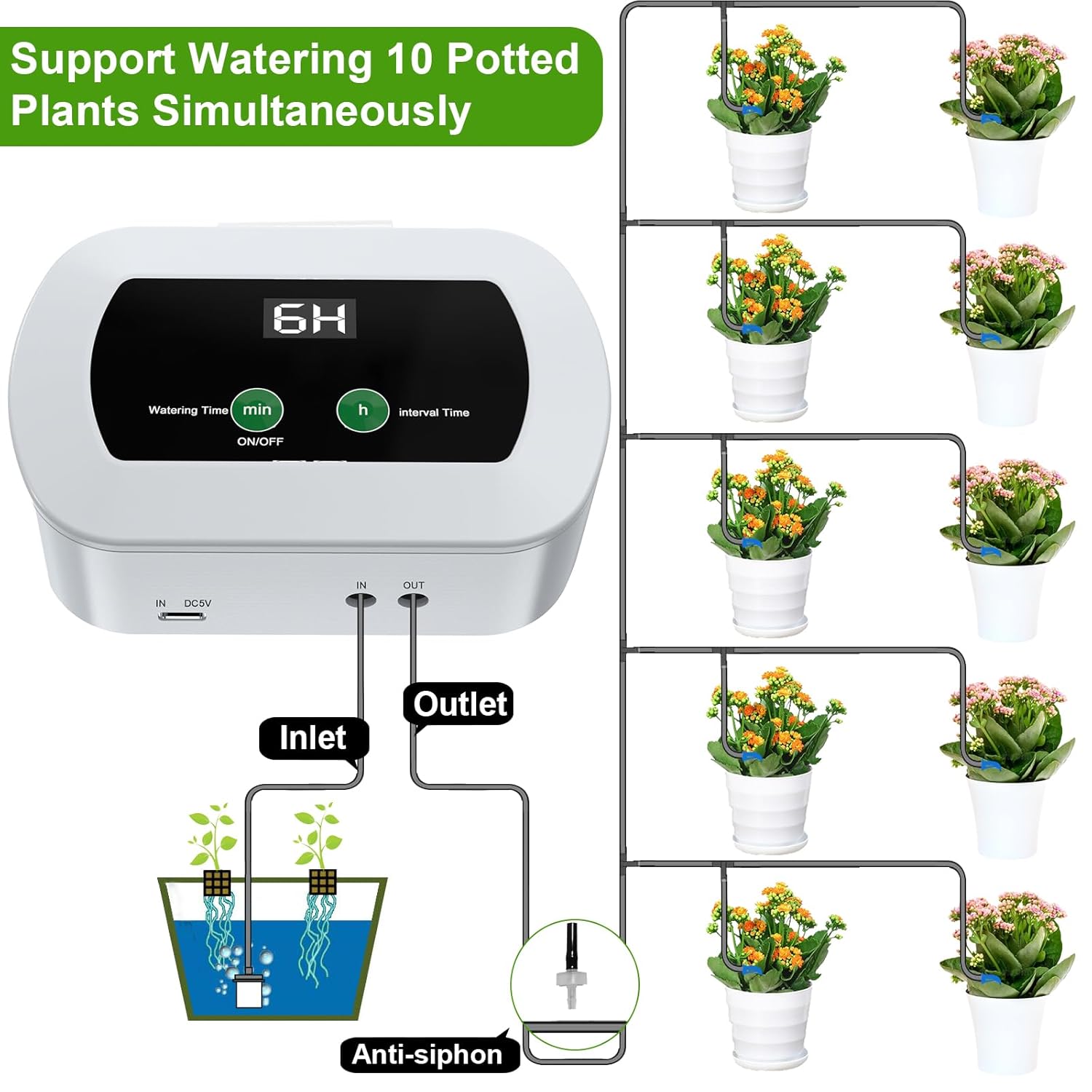 Diagram showing connection for 10 potted plants with anti-siphon