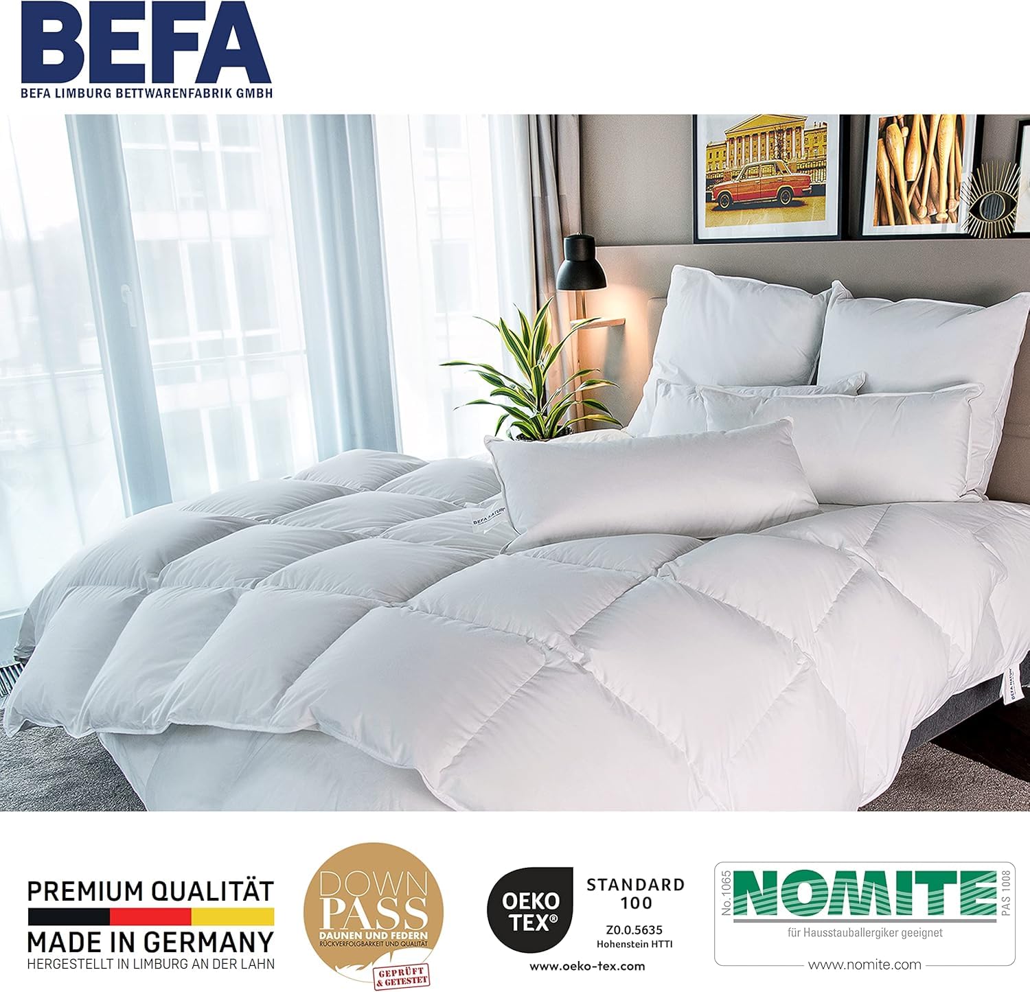 BEFA NATUR Couette en Pur Duvet Toutes (1, Piumino invernale, 155x220 cm)