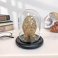 Vista 2 de Plymor campana protectora de cristal para exhibición, de 3 x 4 pulgadas, abovedada