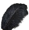 Sowder 10pcs Ostrich Feathers 12-14inch30-35cm for Home Wedding Decorationblack