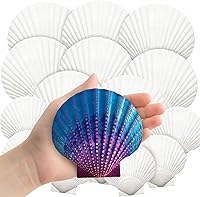 YUJUN 18PCS Large Natural White Scallop Shells Bulk, 2-3" & 4-5" for DIY Crafts, Painting, Beach Wedding, Ocean Party & Home Decor