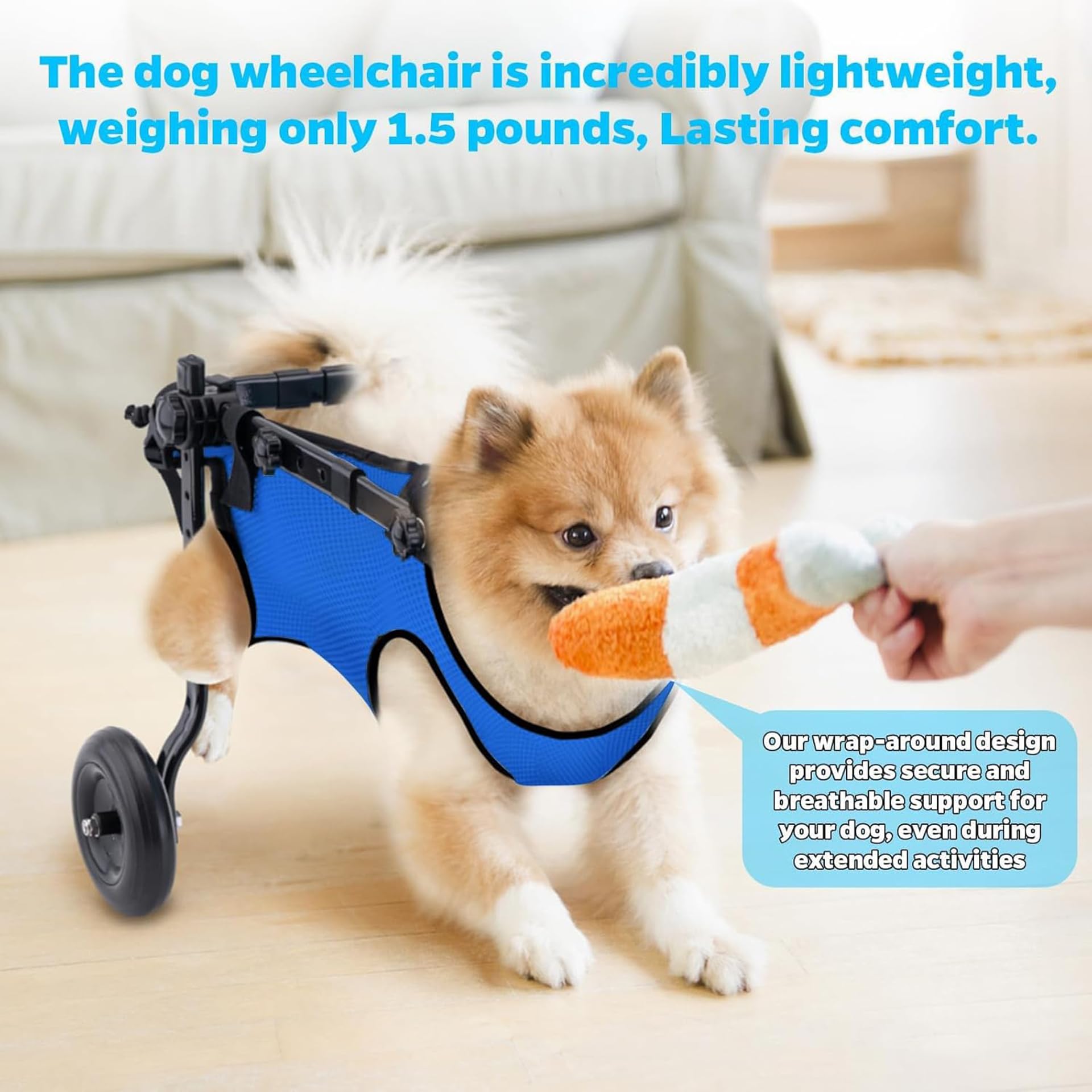 YIHANGG Silla de Ruedas para Patas Traseras para Perros Ajustable Soporte para Patas y Cadera para Perros Ayuda a Mascotas con Parálisis en Las Extremidades Traseras a Recuperar su Movilidad(Size:M)