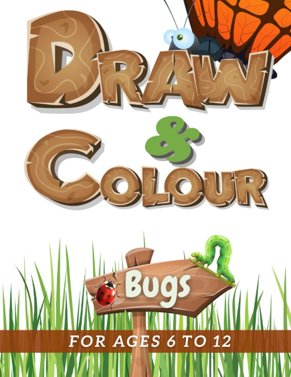 Draw & Colour Bugs: 100 Pages of educational bug fun for children ages 6 to 12: 5