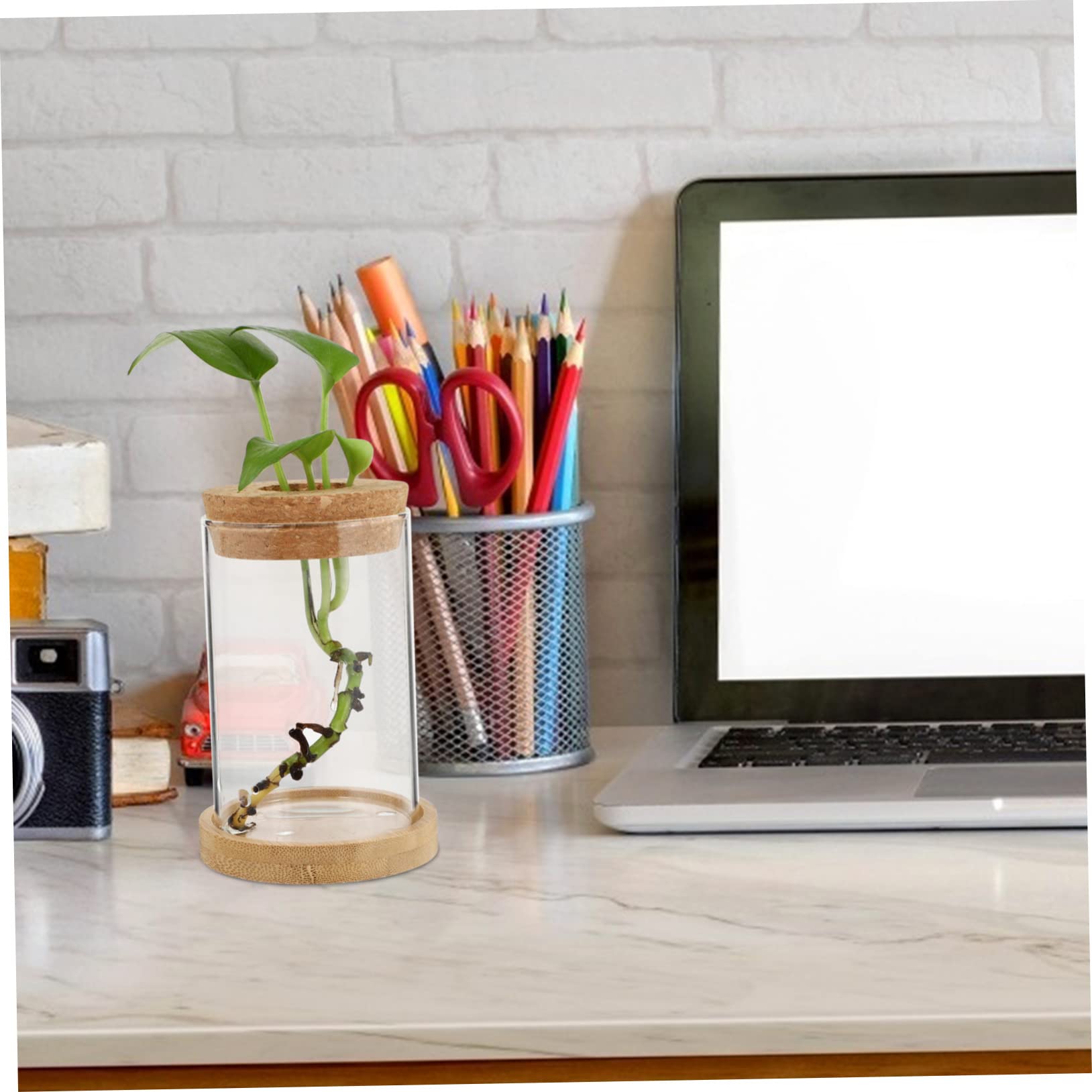 TOPBATHY 3 Ensembles Bouteille Éco Terrarium Végétal Propagé Vases pour Centres De Table Terre Cuite Décoration De La Maison Tuyau Bureau De Pots De Fleurs en Bois Transparent 2 Pièces * 3