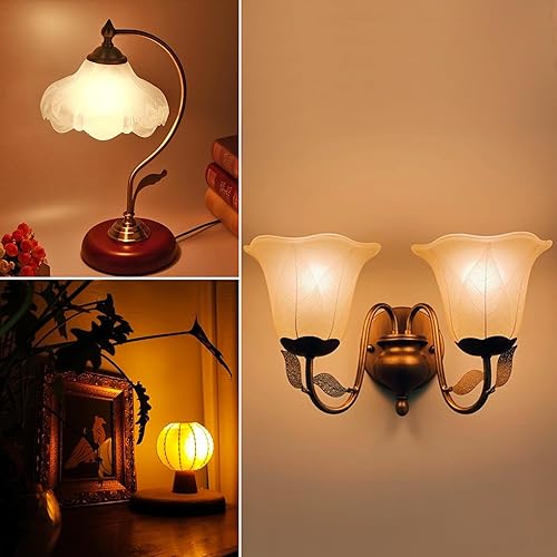 Miniatura 8 de Bombillas LED G40 E26 de bajo vatio, color ámbar, bombillas nocturnas de 1 W equivalentes a 10 vatios, bombilla Edison pequeña de 2200 K, bombillas