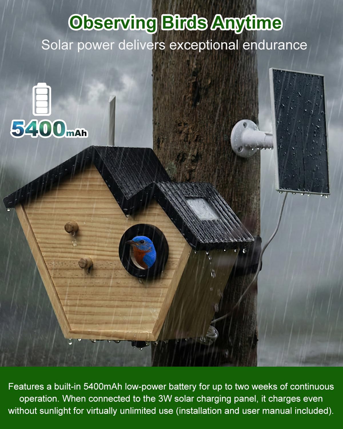 Caja nido con cámara HD alimentada por energía solar, Live Stream Al Detector de aves, observa la anidación y la eclosión, memoria en la nube y SD, entrada de 35 mm y protección IP65, idea de regalo