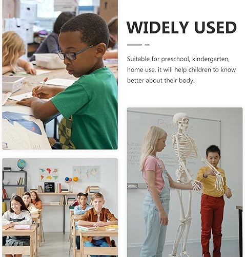 Miniatura 5 de Delantal de órgano 3D, delantal de anatomía, cuerpo humano, conciencia, herramienta educativa, juguete para el hogar, preescolar, ayuda docente,