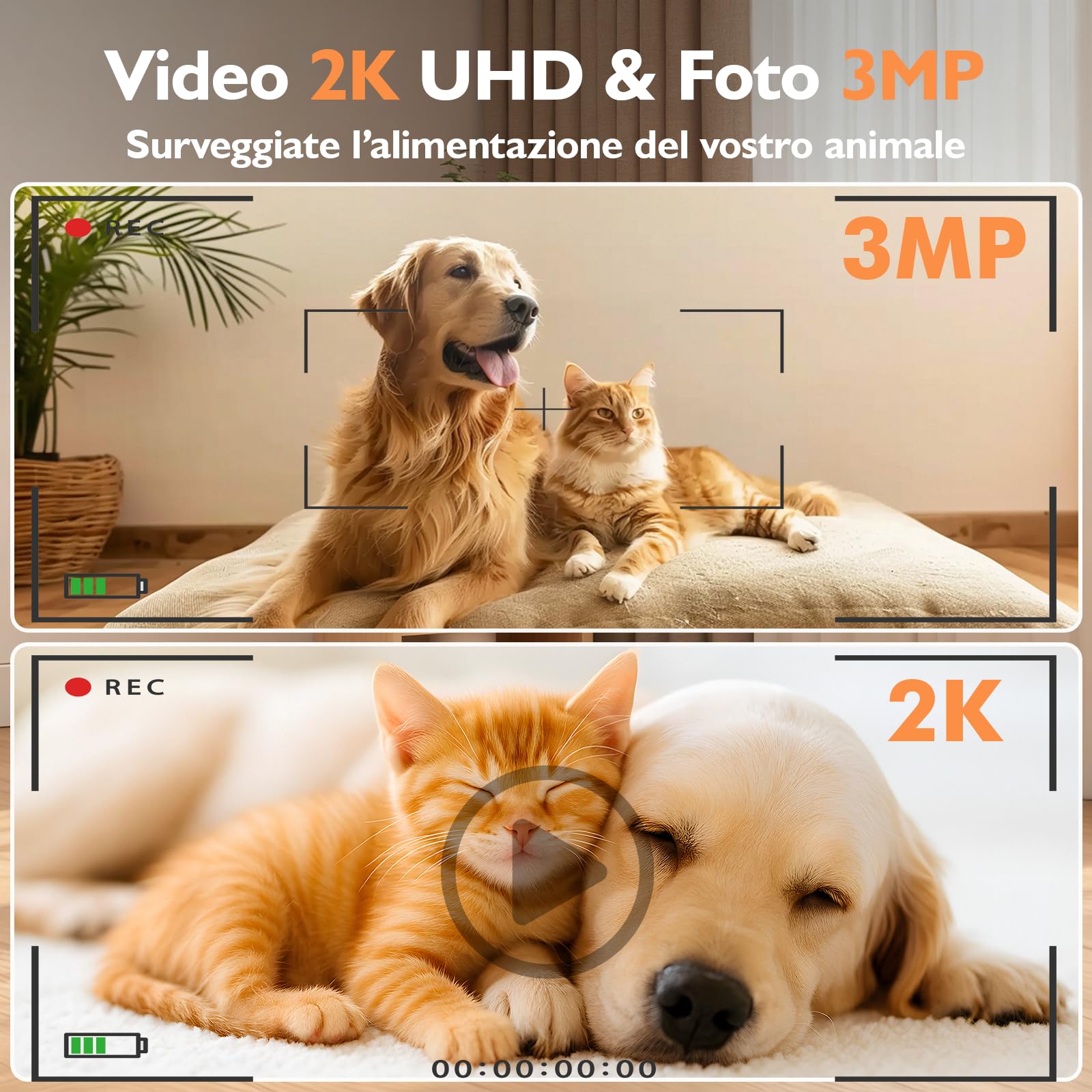 Distributore Automatico Cibo Gatti con 2K Telecamera,5L Cibo e 4L Acqua Automati Gatti con 2.4G/5G WIFI,Controllo APP,con Visione Notturna,con Audio Bidirezionale