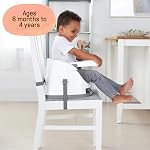 Ingenuity Baby Base 2-in-1 Booster Feeding and Floor Seat with Self-Storing Tray - Slate