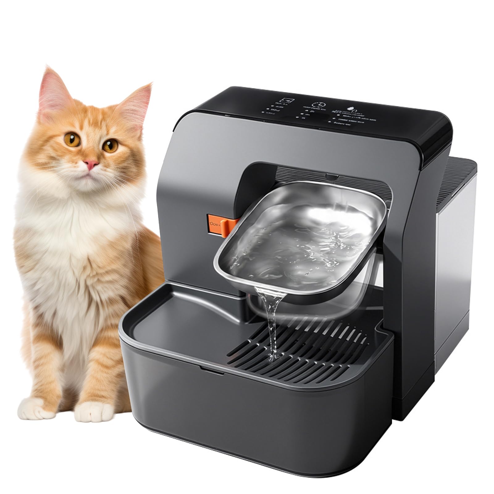 Fontana d'acqua per gatti, senza filtro, separazione delle acque reflue, ciotola in acciaio inox, fontana per animali domestici per cani e gatti