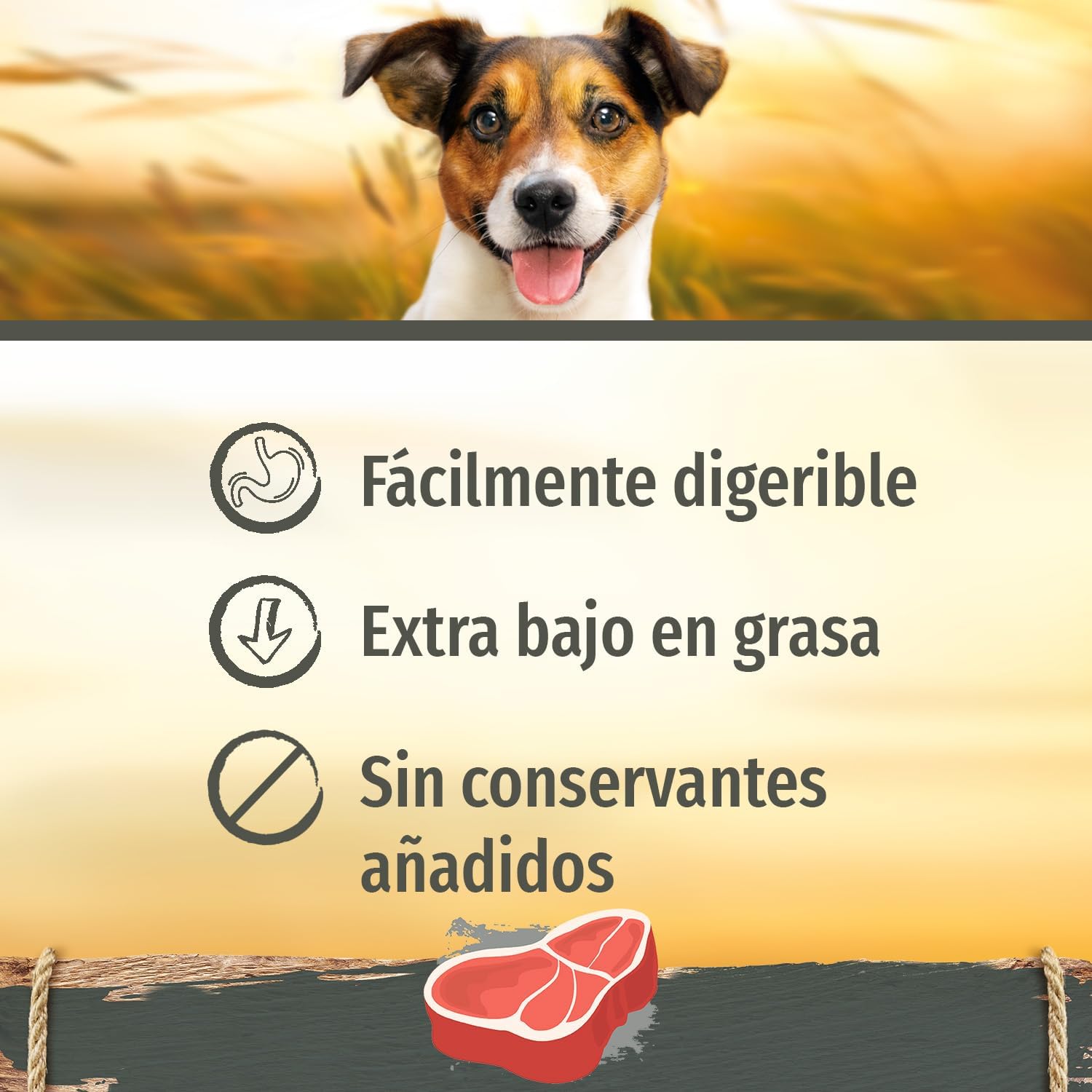 71zl1FnGl2L. AC SL1500