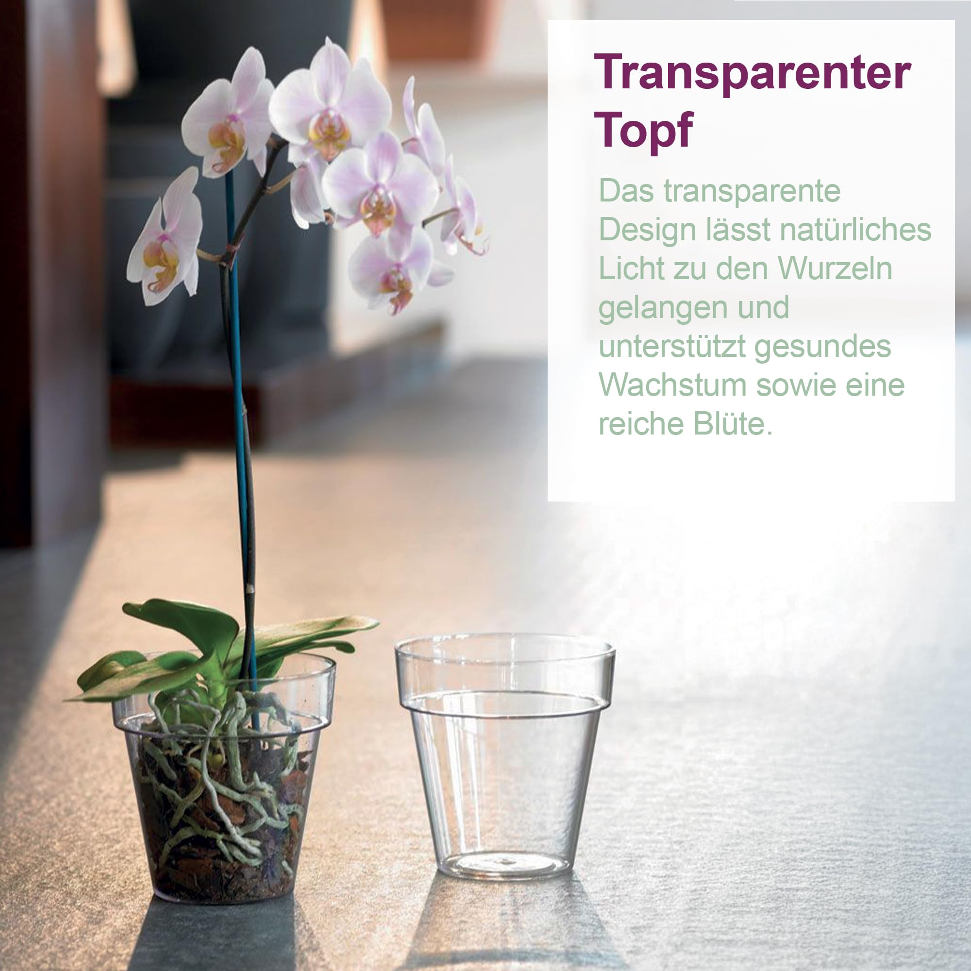 5 transparente Plastiktöpfe für Orchideen mit Entwässerungslöchern und 5 Untersetzers (5, Ø 16 cm)