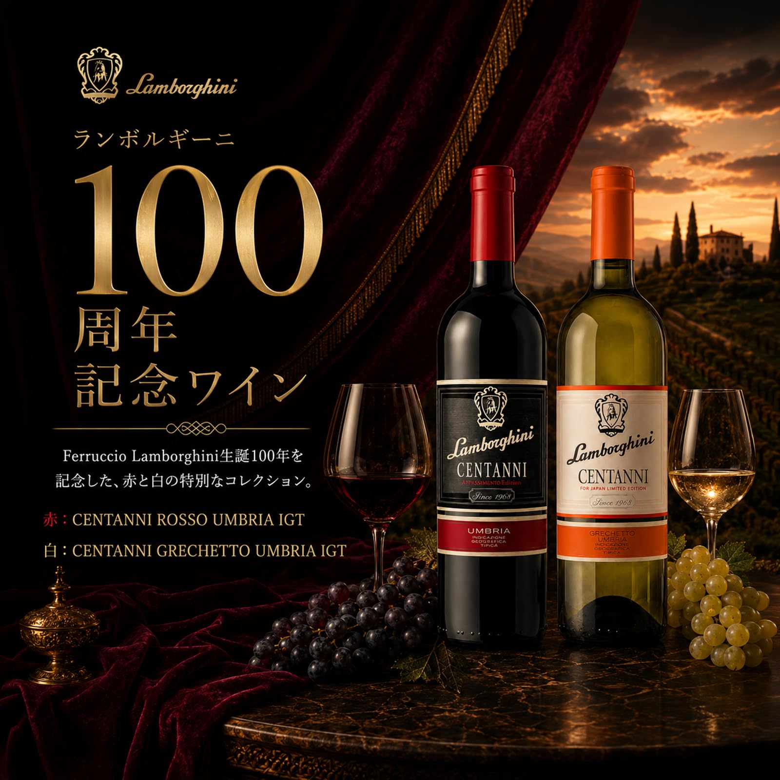 Amazon.co.jp: ランボルギーニ ワイン Lamborghini チェンタンニ 赤白