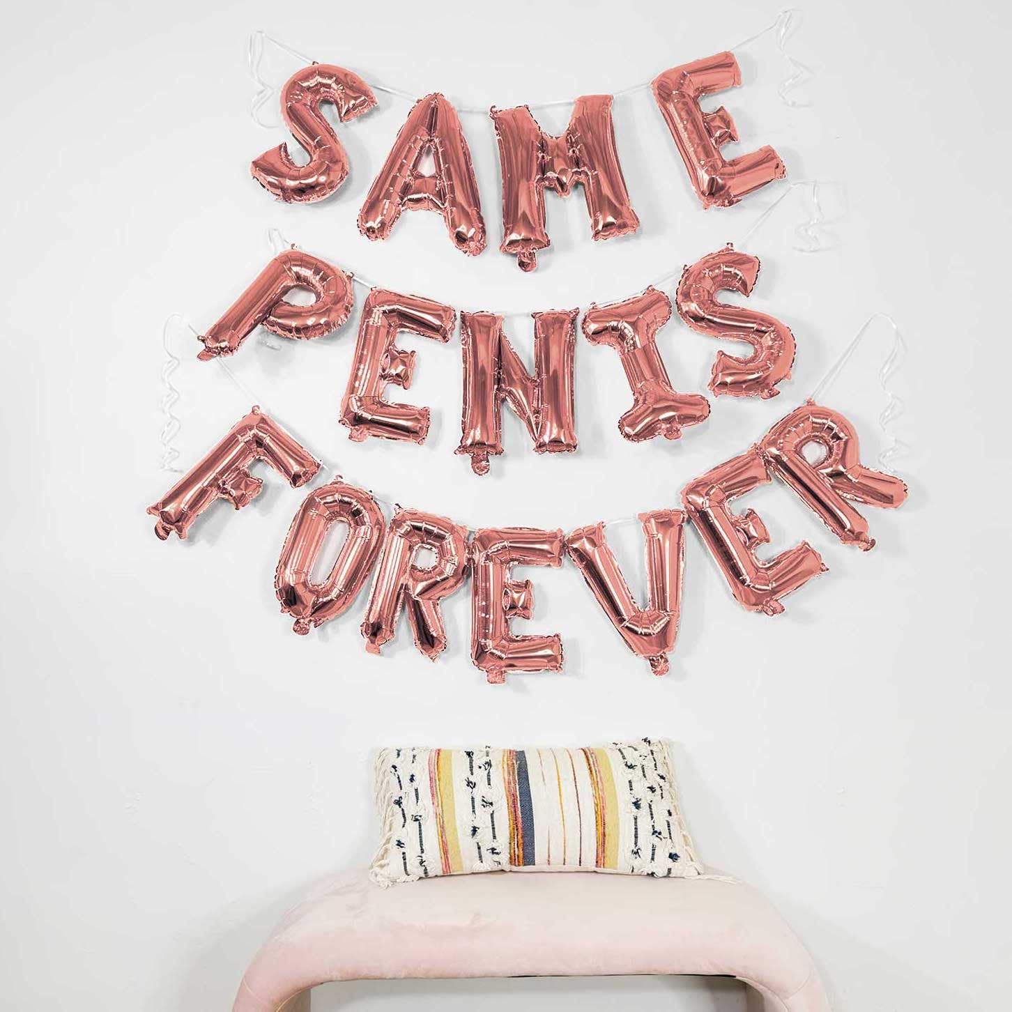 Foil Balloons & Memories Same Penis Forever Combo Set For Bachelorette/Boys/Girls Party Decorations (Pack Of 16Pcs)., Rose Gold (B09WDVQ61W) Amazon Price History, Amazon Price Tracker