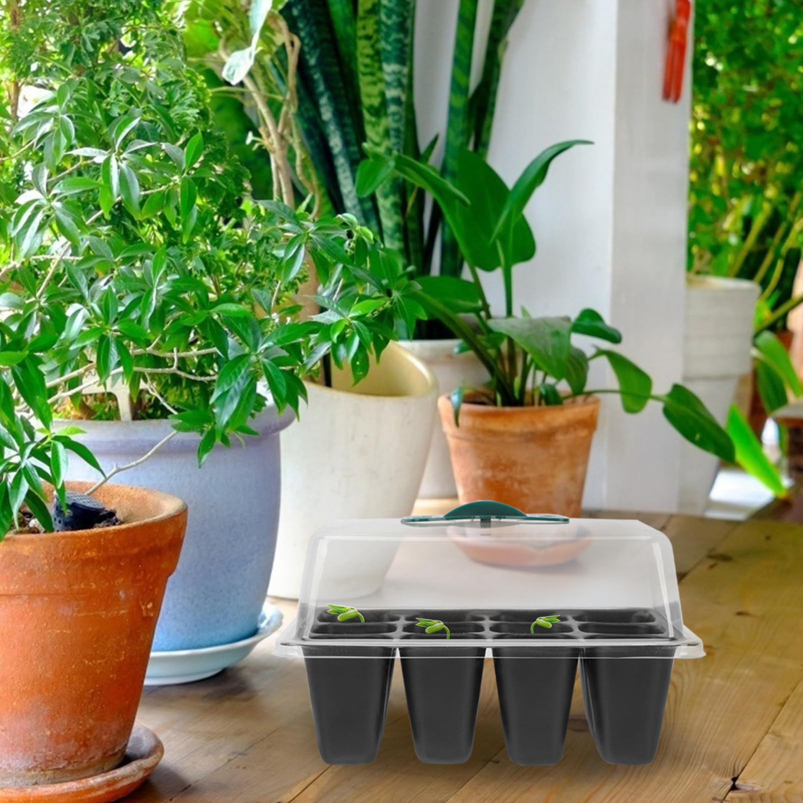 BESTonZON 2 Set Vassoio per Piantine con Contenitore per Germinazione con per Microgreens E Insalate 3 Pezzi*2