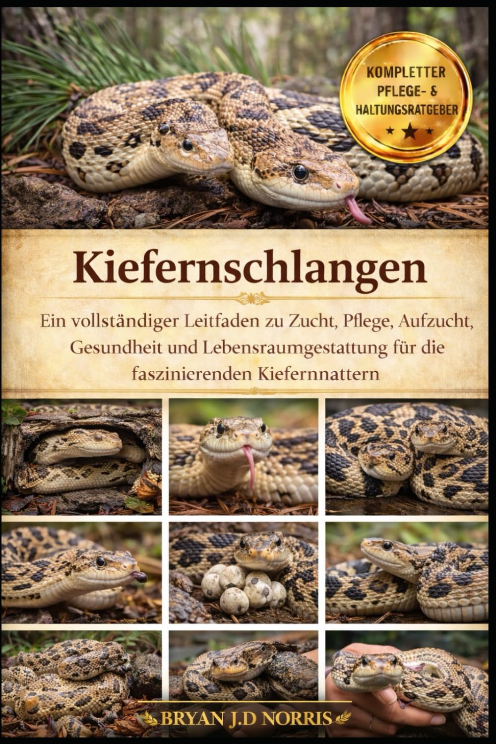 Kiefernschlangen: Ein vollständiger Leitfaden zu Zucht, Pflege, Aufzucht, Gesundheit und Lebensraumgestaltung für die faszinierenden Kiefernnattern