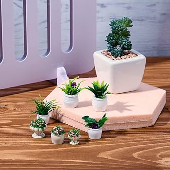 ミニチュアフラワー クレイ小花 千趣会マンスリークラブ 24鉢 未使用 71zlKFEkTsS._UF350,350_QL80_.jpg