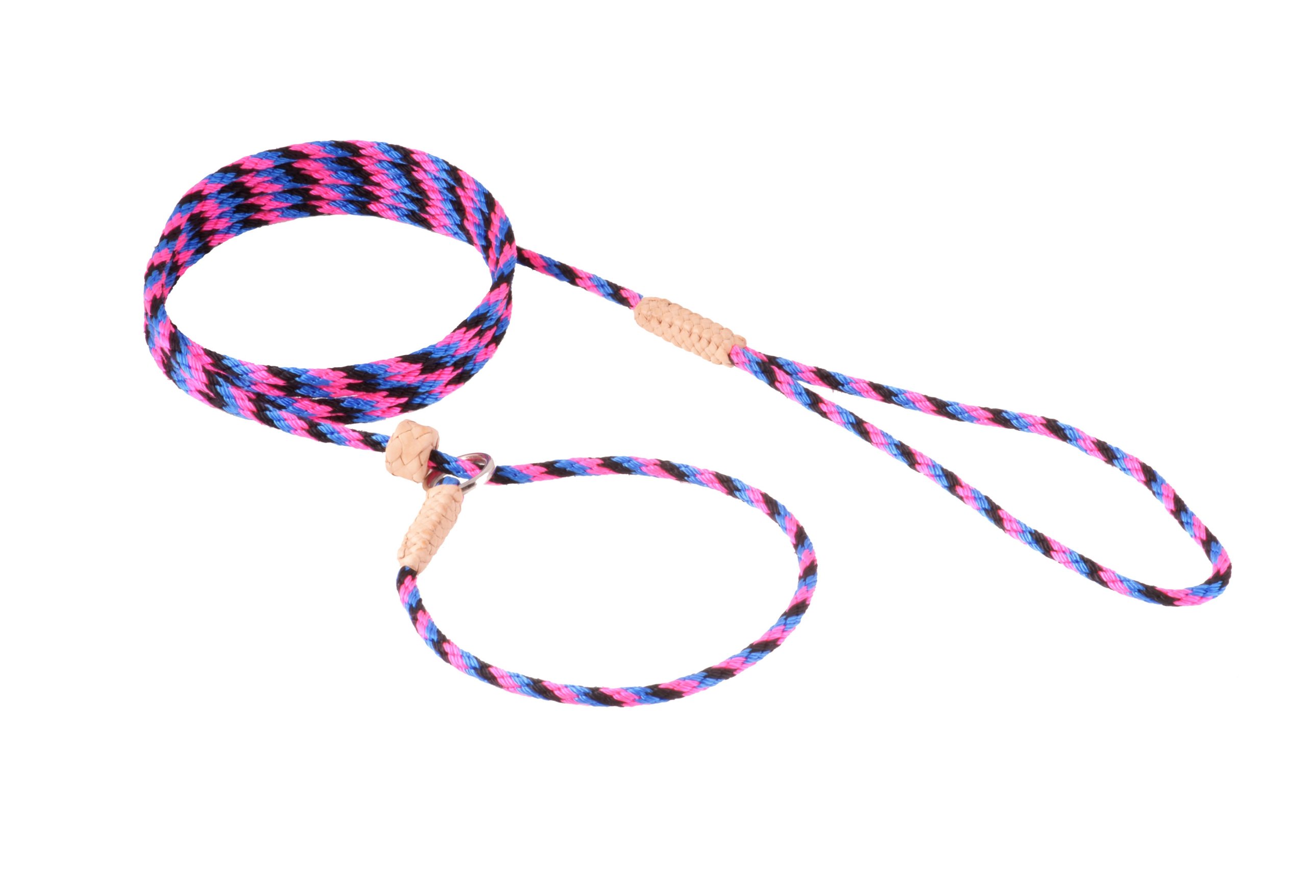 Laisse lasso Alvalley chien nylon noir rose bleu 4mm 1,8m butée