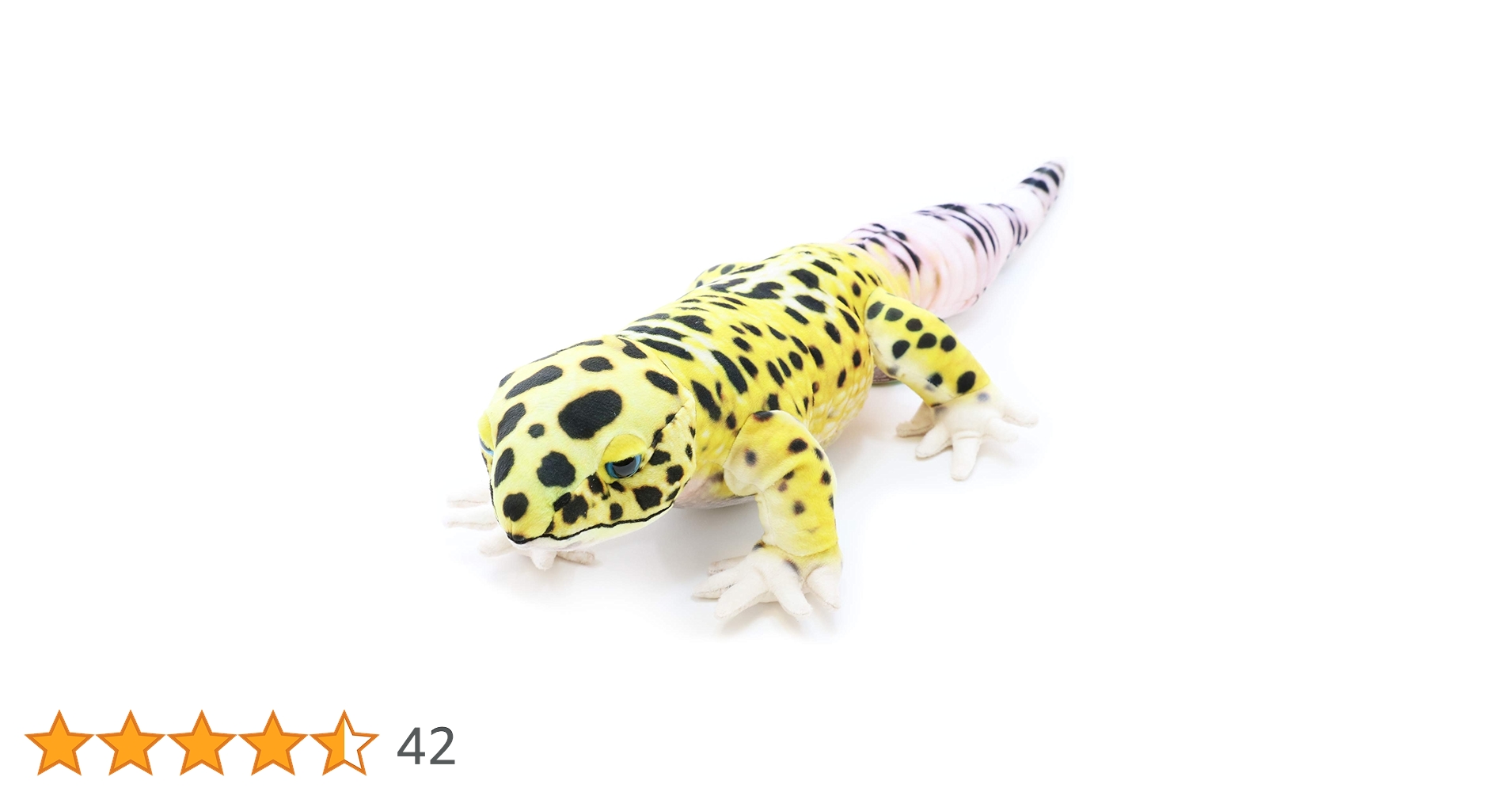 Amazon.co.jp: Safari Ltd. ワイルドグラフィ(Wild Graphy) 太洋
