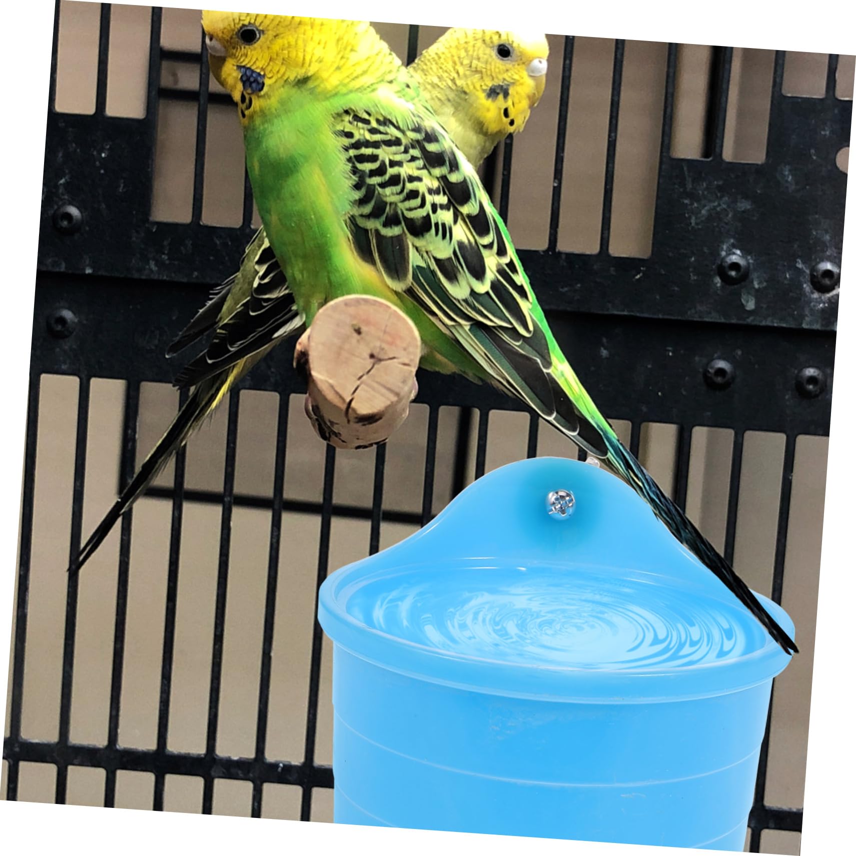 Small Bird Water Bath Tub For Pet Bird Cage Hangin... – Vicedeal
