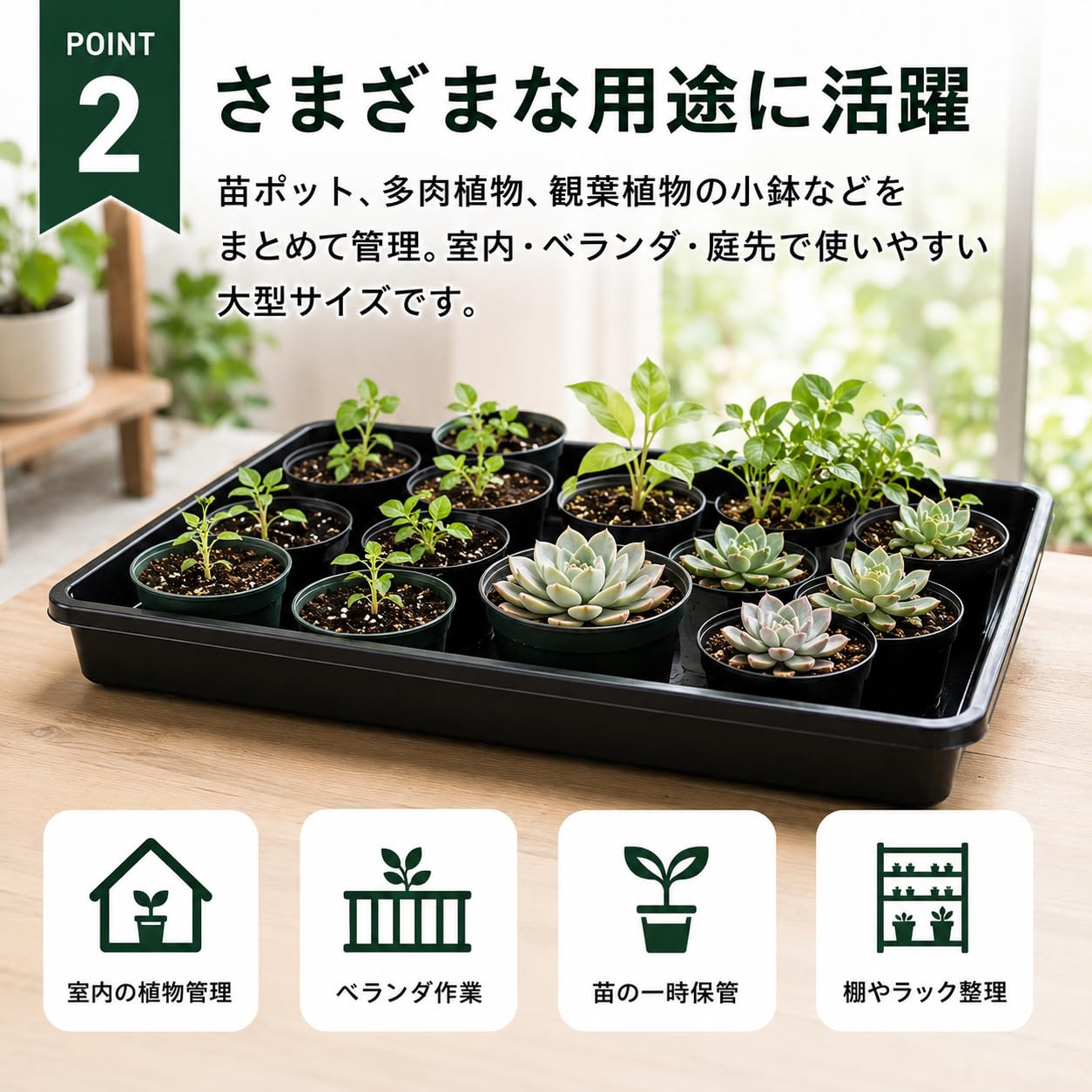 Amazon.co.jp: merrytime 育苗トレー 受け皿 水受け 鉢植え 多肉植物