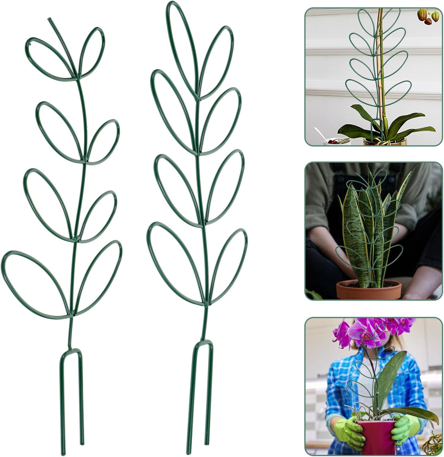 2pcs Outdoor Plant Trellis and Tomato Cages Garden Climbing Frame Green Iron Plant Support for Potted and Raised Bed