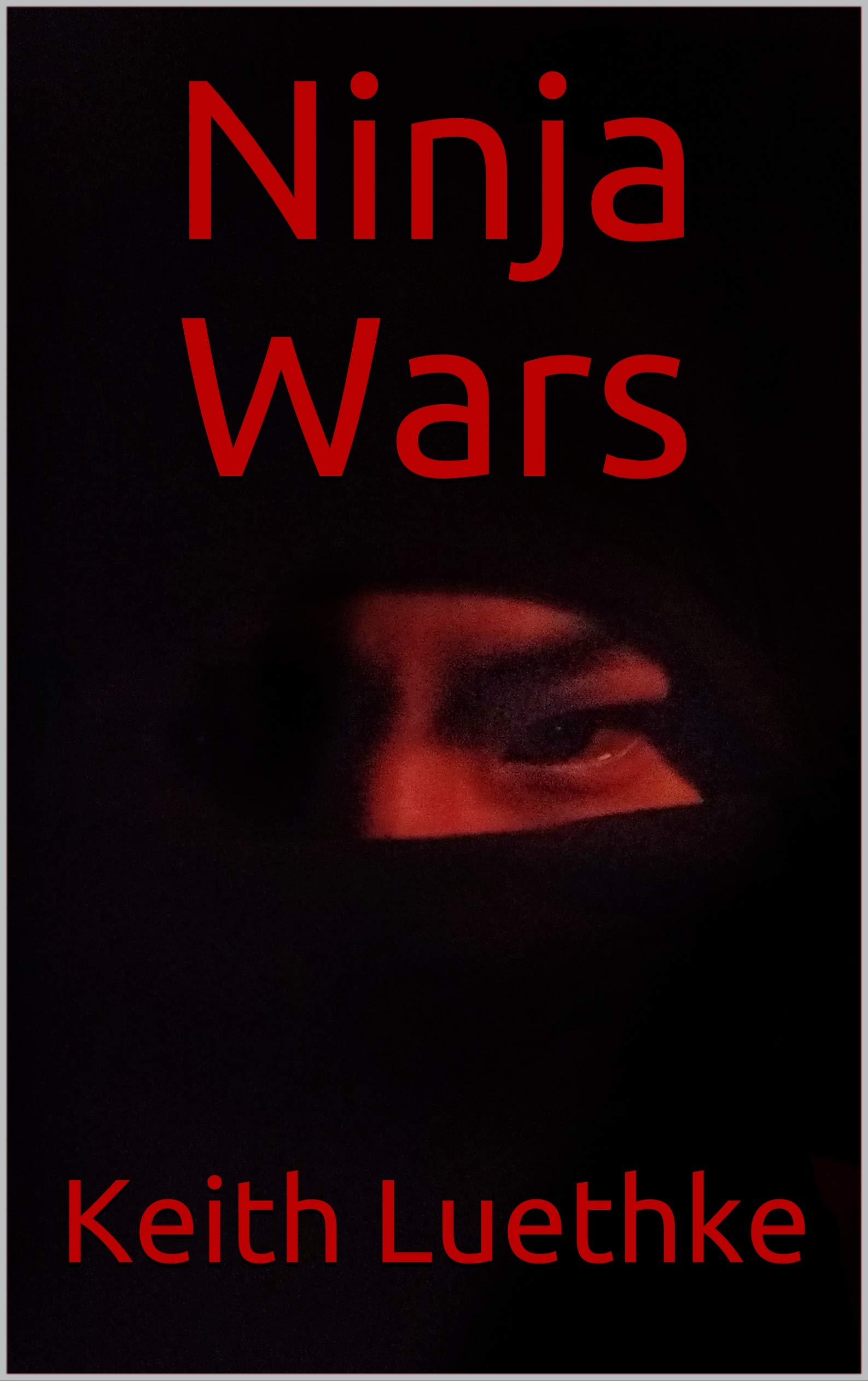 Cover of Ninja Wars