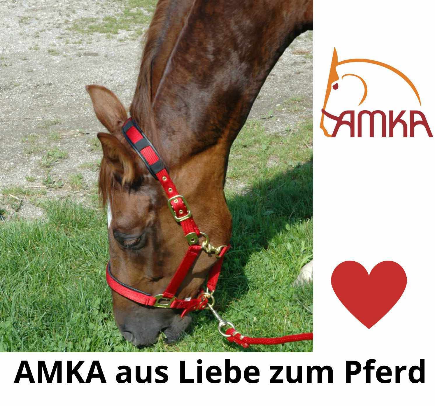 Amka Pierre à lécher minérale Himalaya 2-3 kg avec cordon de serrage Lot de 3