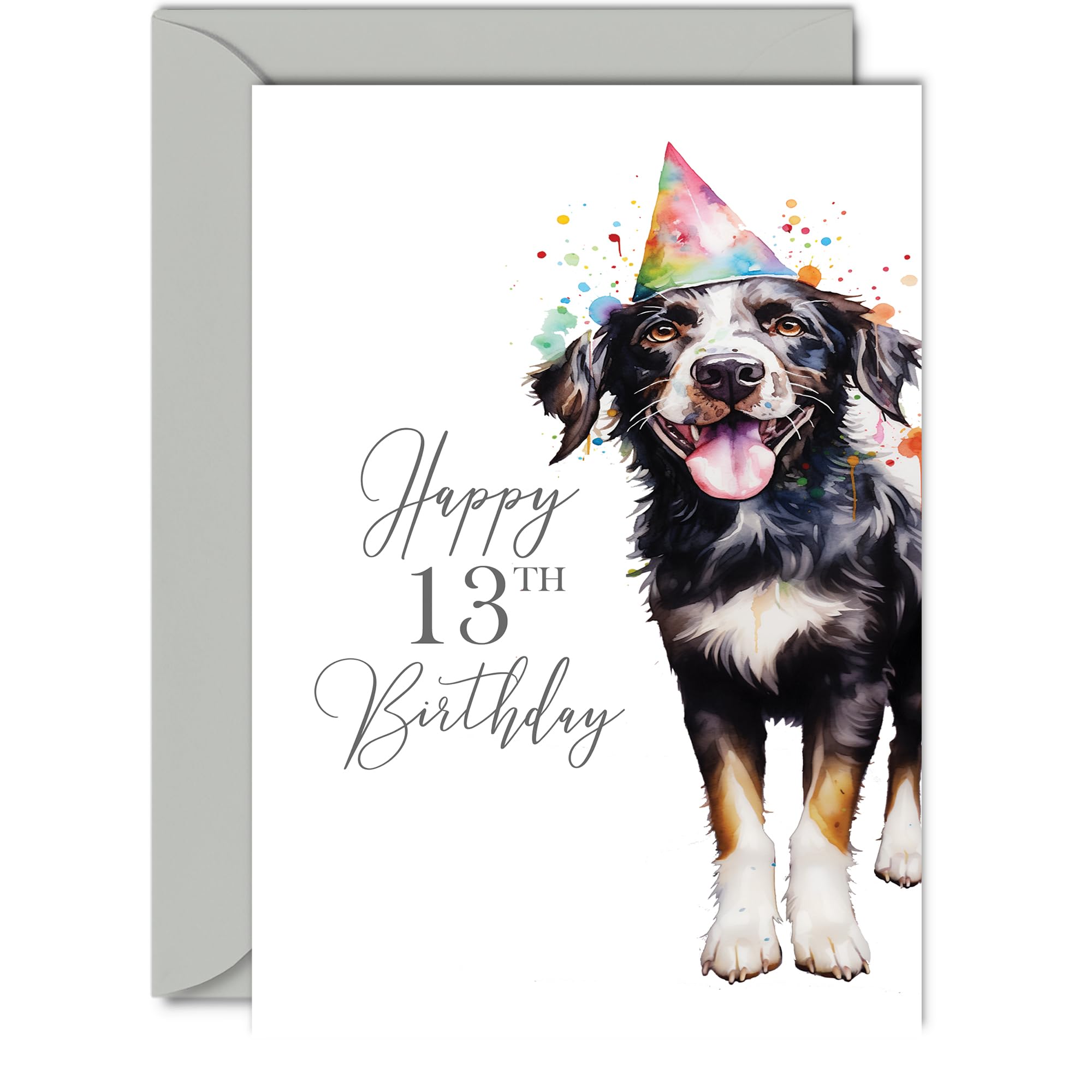 13th Birthday Cards for Boys Girls - Party Dog - Happy Birthday Card for 13 Year Old Boy Girl Grandson Granddaughter Son Daughter Nephew Niece, 5x7 Inch Bday Greeting Cards
