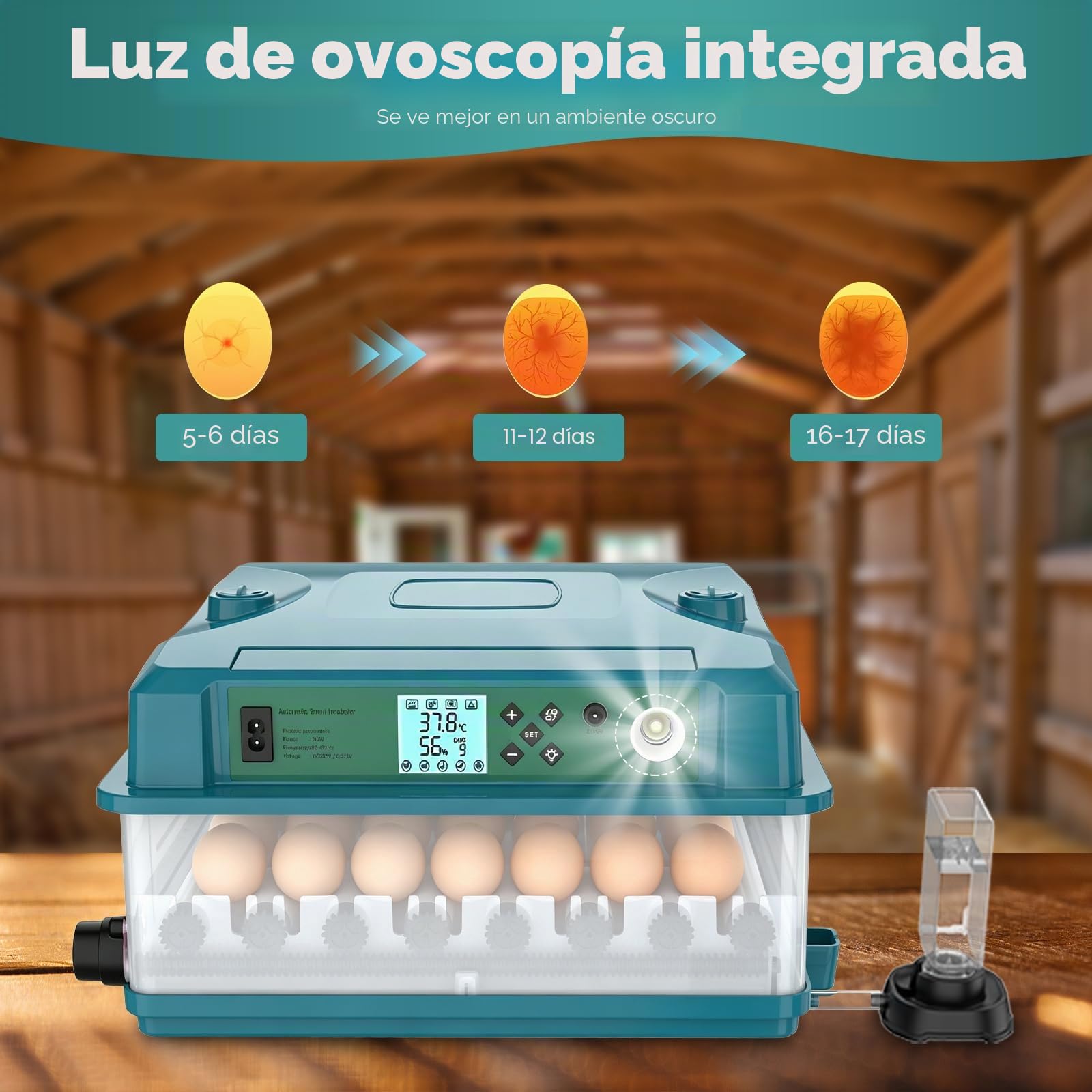 Incubadora automática para 36 huevos, 4 modos automáticos, Incubadora eléctrica - Volteo automático y suministro automático de agua - Control inteligente de temperatura - Doble alimentación (B)