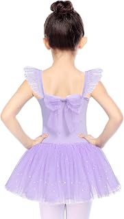 FERWANG Little Girls` Toddler Skirted Angel-Sleeve Leotard Ballet Dance with Spark Tutu Dress