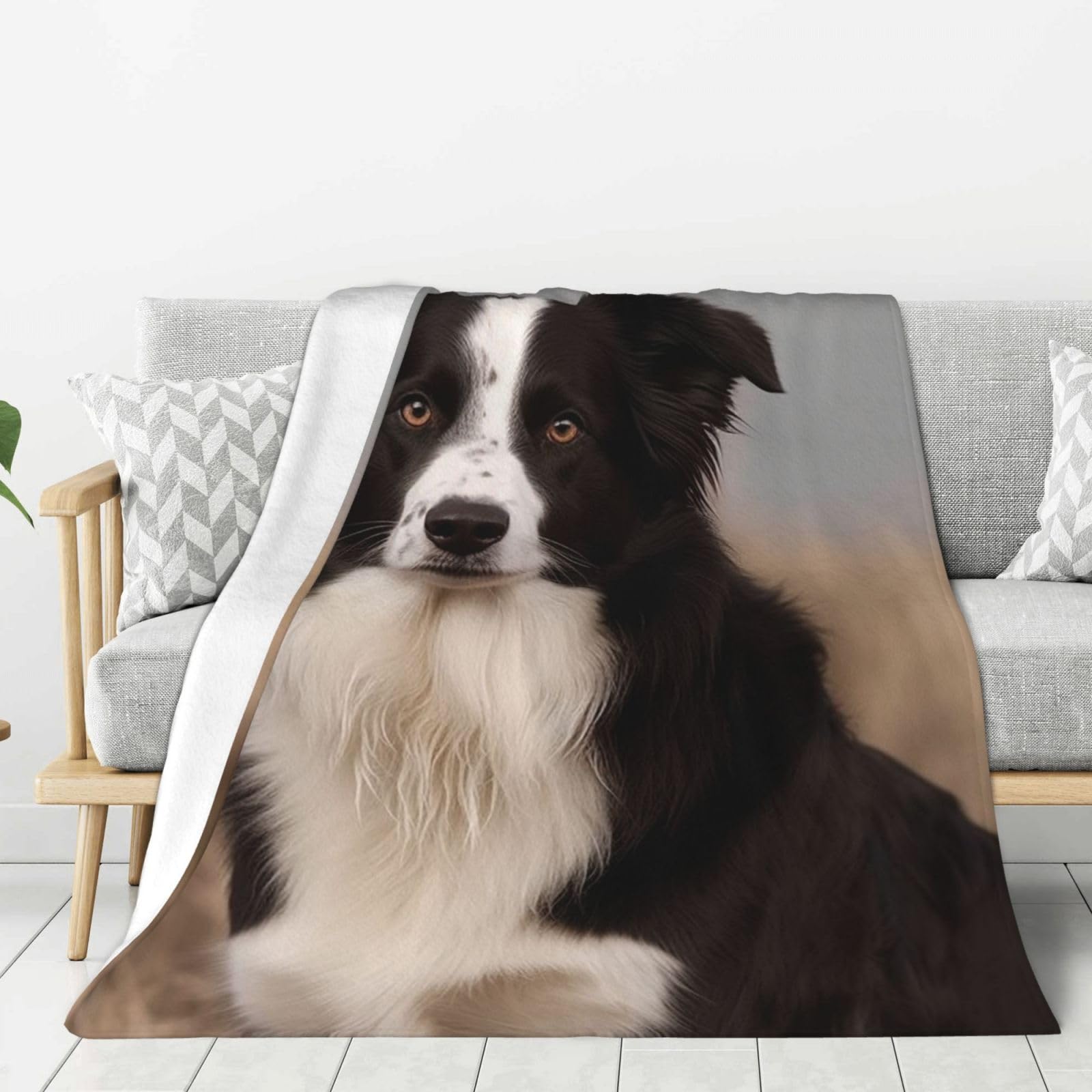 Border Collie Throw Blanket Plush Flannel Fleece Blanket, Soft Lightweight Cozy Blankets 80"X60" for Bed Couch Sofa Travel
